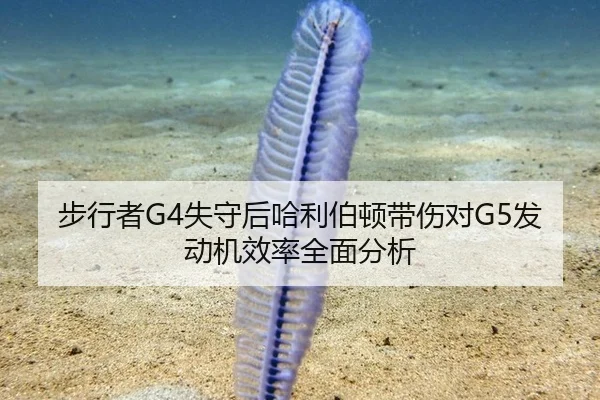 步行者G4失守后哈利伯顿带伤对G5发动机效率全面分析